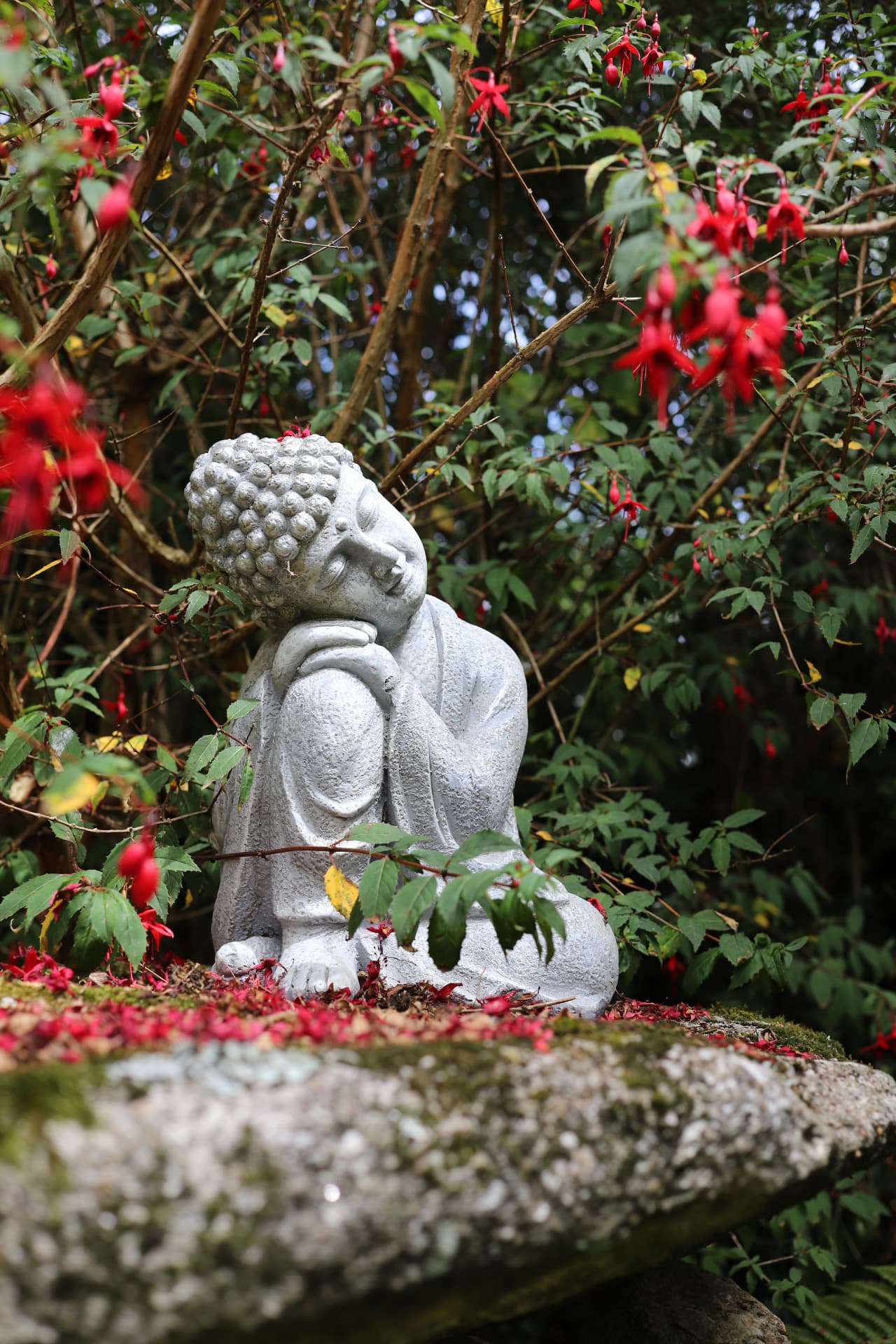 Stone buddha resting among fuchsia in the sanctuary garden
