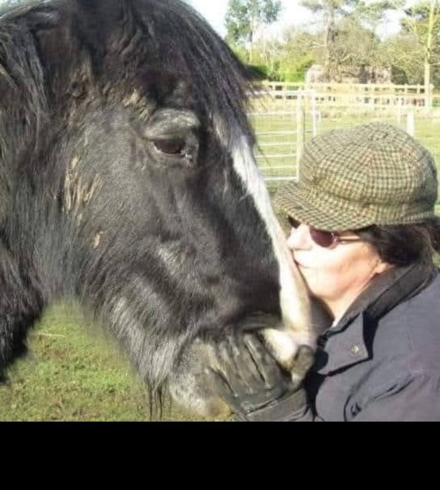 A woman resting her face against the head of a black cob horse